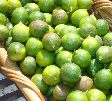 Key Lime / Citrus Aurantifolia